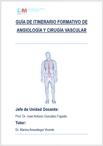 Guia itinerario formativo de angiología y cirujía vascular